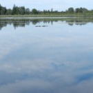 Der Riedsee im Wurzacher Ried